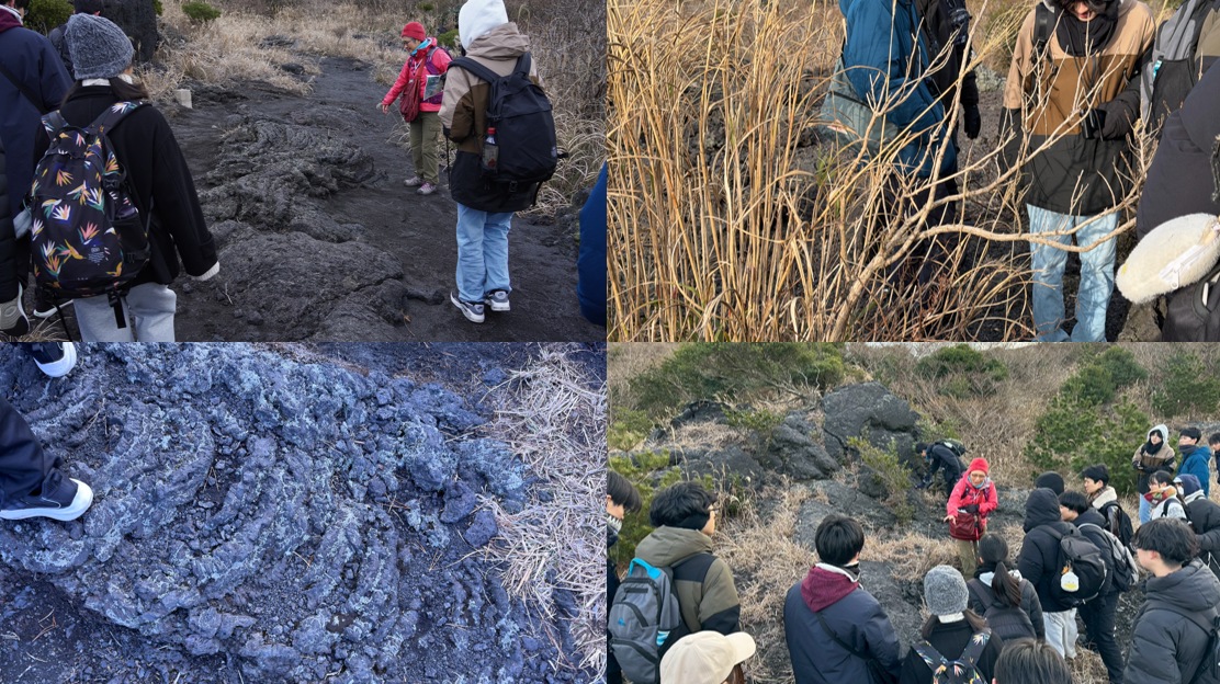 スクリーンショット 2026-01-09 145452